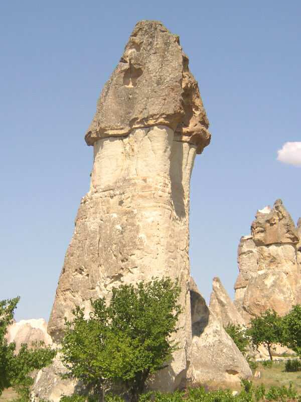 Nvrat