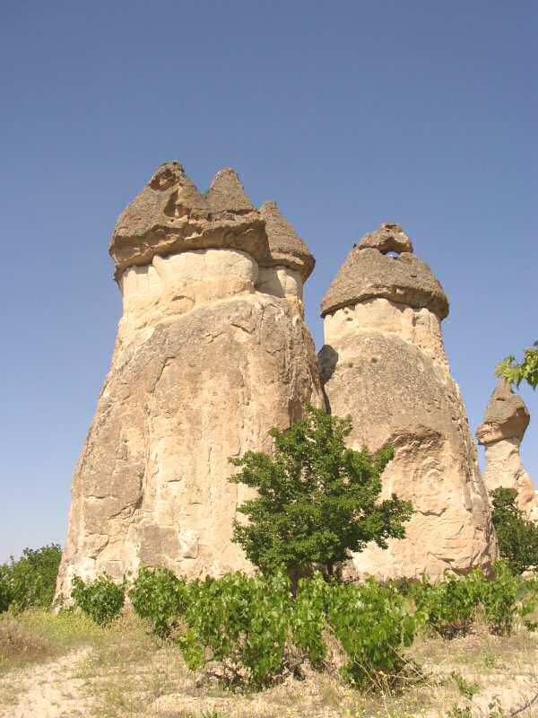 Nvrat